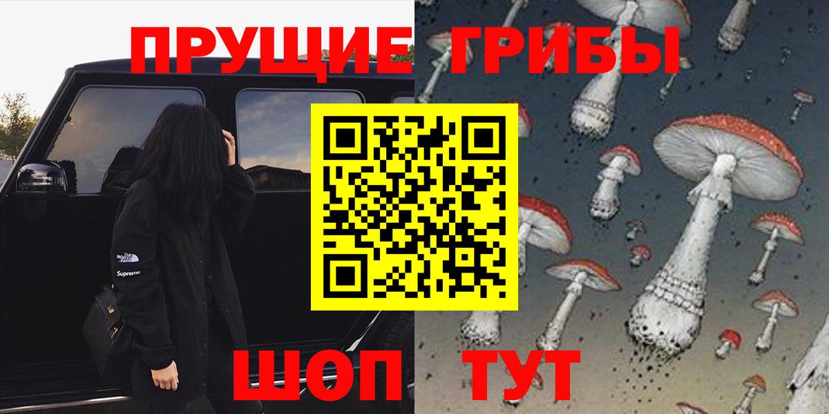 Моздок  Псилоцибиновые грибы Psilocybine cubensis  Вход с VPN 