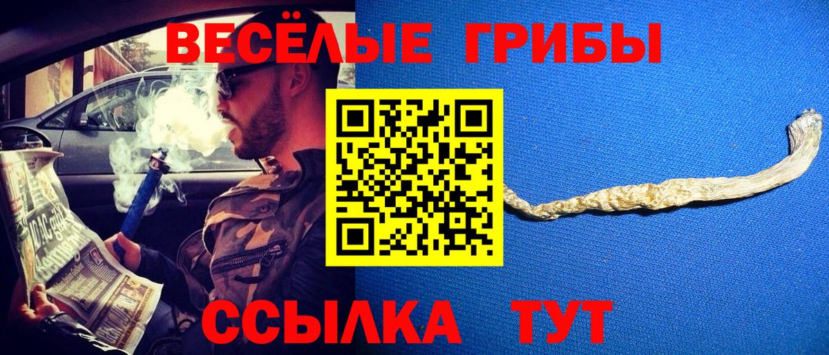 Псилоцибиновые грибы Cubensis Моздок