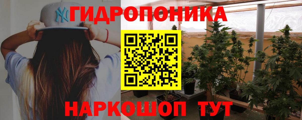 Шишки марихуана сатива  Каннабис план  МАРИХУАНА THC 21%  Вход с VPN  Моздок 